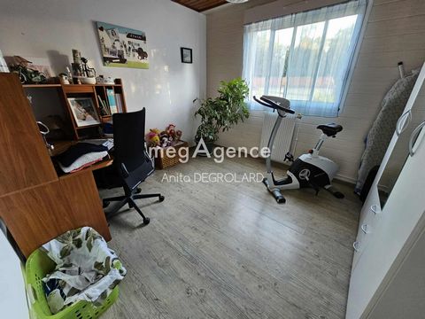 photo no. 9