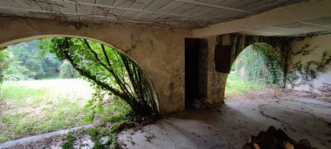 photo no. 19