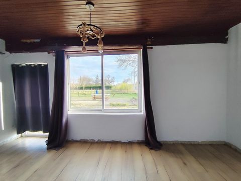 photo no. 3
