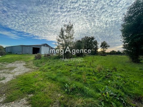 Terrain de 10075 m2 avec un hangar de 450m2