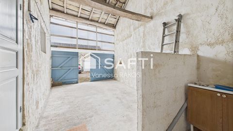 photo no. 11