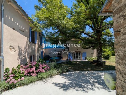 Maison en pierre avec Gîte à 15 minutes d'Albi sur parc d'un hectare