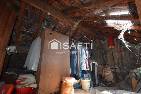 photo no. 10