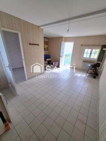photo no. 11