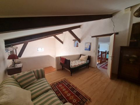 photo no. 11