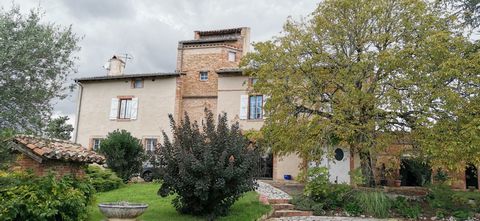 photo no. 9
