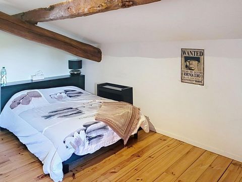 photo no. 19