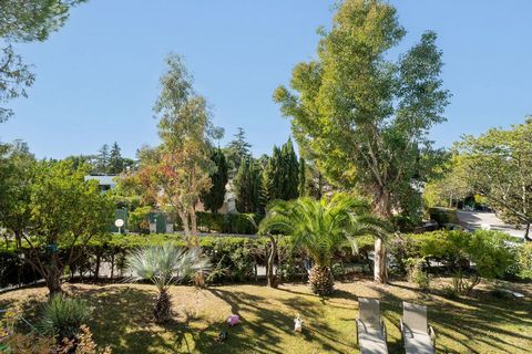 photo no. 16