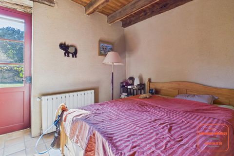 photo no. 12