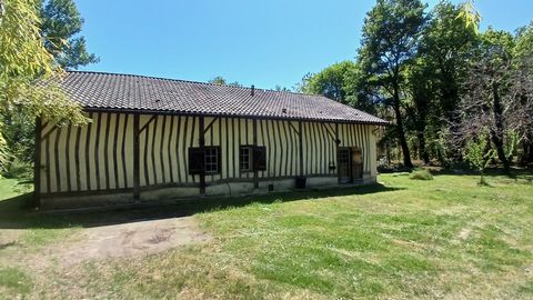 photo no. 15
