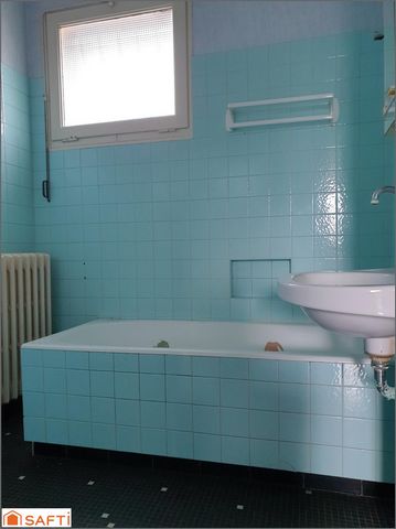 photo no. 6