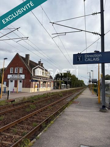 photo no. 12