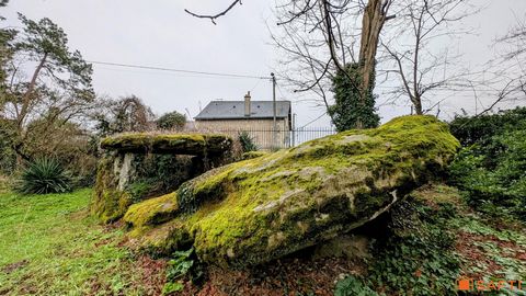 photo no. 17