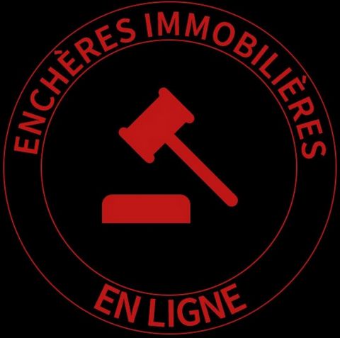 APPARTEMENT T2 avec une cour privée proche gare