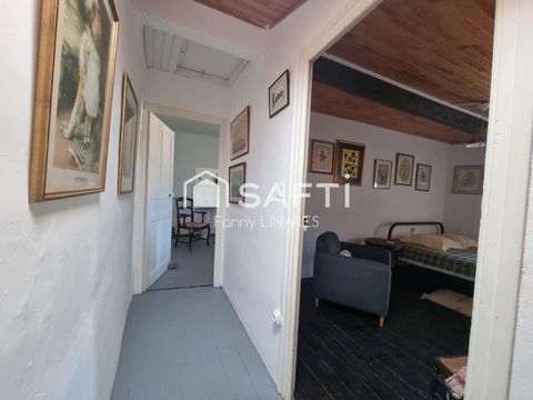 photo no. 18