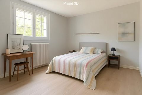 photo no. 8