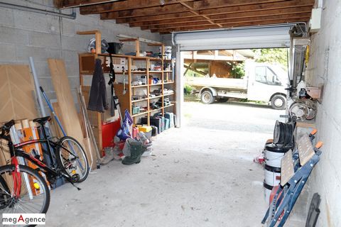 photo no. 16