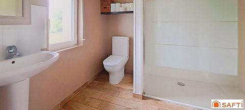 photo no. 8