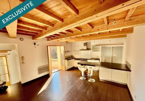 BEL APPARTEMENT DANS UN ENVIRONNEMENT ARBORE EN PLEIN CENTRE HISTORIQUE