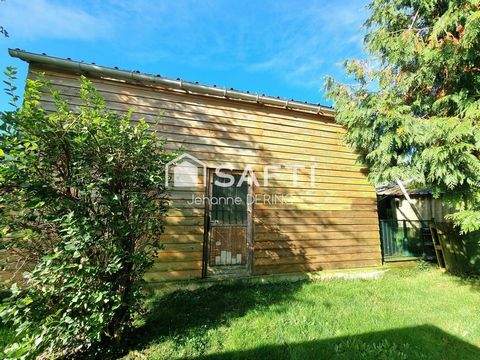 photo no. 16