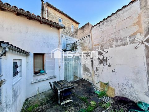 photo no. 10