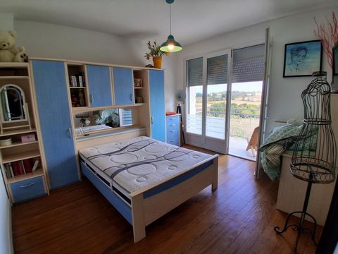 photo no. 11
