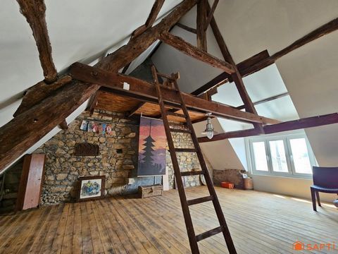 photo no. 8