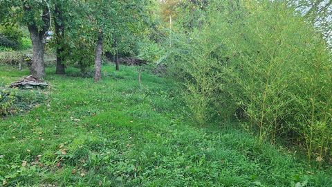 photo no. 8