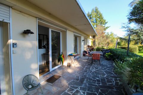 photo no. 18