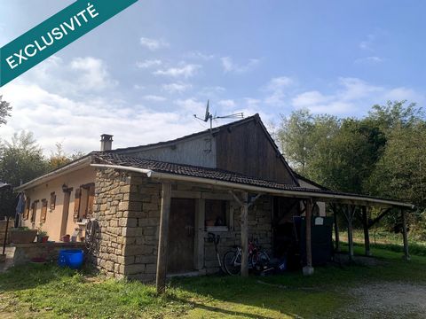 photo no. 10