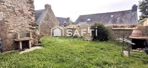 photo no. 12
