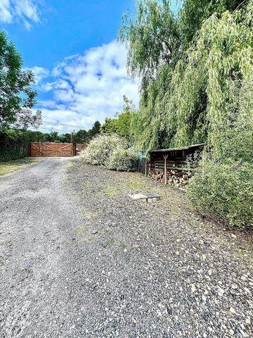 photo no. 2