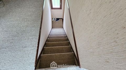 photo no. 10