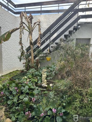 photo no. 2