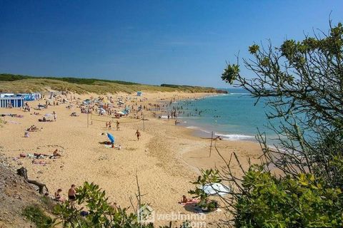photo no. 11