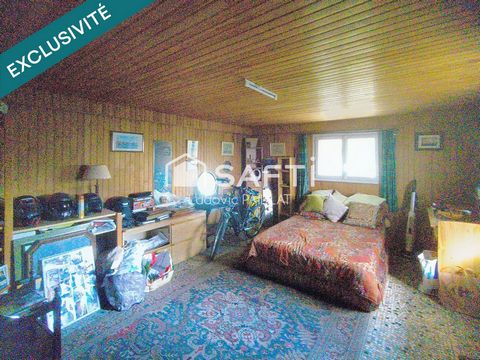 photo no. 10
