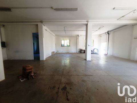 zona Grazie locale artigianale in affitto o vendita. Il locale si trova al pianoterra di un a palazzina un via fratelli Ottaviani 44, a poche centinaia di metri dal centro del rione le Grazie. L'altezza del soffitto è di 4 metri. Contattami al seguen...