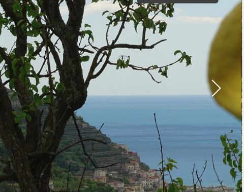 Situated in the hills of Maiori, charming village on the sea along the Amalfi Coast with Amalfi just 15 minutes’ drive away, country house currently registered as agri-tourism B&B. Surrounded by lemon orchards, it boasts panoramic view over the sea a...