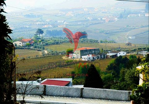Urbanized land in the center of Sabrosa, with an area of 27.550m2, located within the urbanizable area of the PdM of Sabrosa, with access to water infrastructure, electricity and basic sanitation network; The land with little slope allows an open and...
