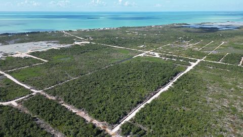 West Caye properties near Secret Beach are located on Ambergris Caye near the West Coast of the island.   In West Caye, you can own property near the popular Secret Beach (under 1-mile from the West Coast) with financing available.   The properties i...