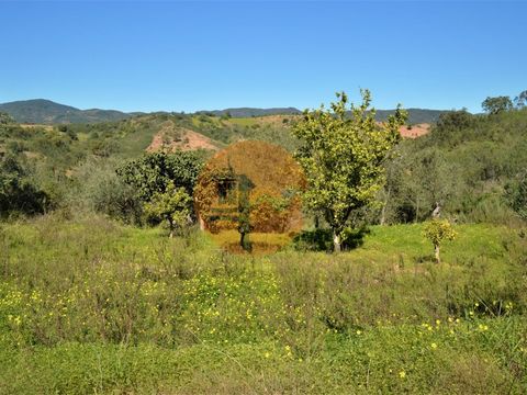 Rustic land, good access, well with water, electricity on site. land with some slope and flat parts, fruit trees: orange trees, lemon trees, medlar trees, rainfed trees, olive trees, holm oaks, cork oaks and arbutus trees. The most used orchards on s...