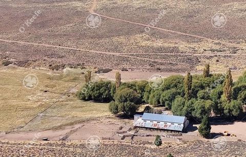 ESTANCIA OVEJERA - BARILOCHE ESTE - FEEDLOT AND COMPLETE FACILITIES. Total sup: 5.300has Location and access: 120 km from Bariloche of which 85 km are provincial route and the rest to the field are 35 km of local road in good condition.   Soil charac...