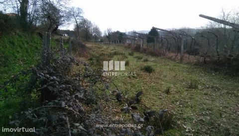 Land with 6000 m2 for sale in Gondar, Vila Nova de Cerveira. It's got a tank of mine water. Excellent sun exposure. Ref.: C02247 ENTREPORTAS Founded in 2004, the ENTREPORTAS group with more than 15 years, is a leader in real estate mediation in the m...