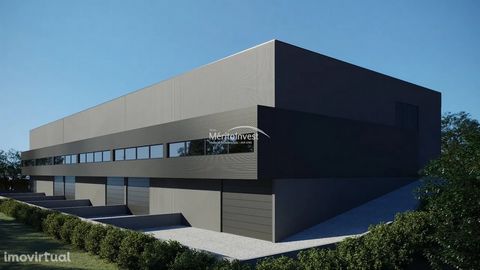 Total area of 5,066 m2, possibility of building two pavilions. With allotment approved for construction in charge of the owner. Located in an industrial park 15 minutes from the center of the city of Guimarães. The Mérito Invest Group was founded in ...