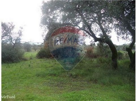 RUSTIC LAND FOR SALE LAMEIRANCHA - VILA NOVA - TOMAR Agricultural land with almost 2 hectares Totally flat and with several fruit trees Access by tarred road Nice and quiet area Good access Good price! Good value for money If you are looking for a go...