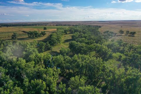 The Bijou Creek Farm (710-acres) is situated one hour east of Denver, Colorado, offers exceptional hunting opportunities, specifically for trophy-worthy whitetail, mule deer and antelope. With its unique creek bottom habitat, ample water resources, a...