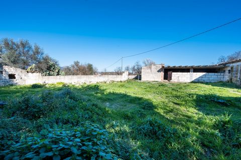In Inca, under the Serra de Tramuntana, is this magnificent plot of land with an area of 7,138 m2, with a dairy of 853 m2 and a plantation of fruit trees and two storage buildings totalling 50 m2. The dairy has a chimney, electricity meter and water ...
