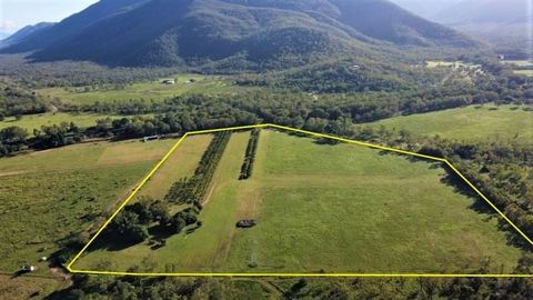 Farming – Cattle – Horses & more This property would suit a farmer or small crops farmer. There are already approx. 100 producing Mango trees, mainly Kensington pride & R2E2, Plus 500 mature Foxtail palms. The 16.94ha (42 acres) is on 2 titles 9.155h...