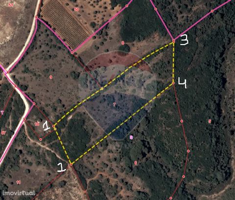 Rustic land located in Vale Montes, Almoster, Santarém, in Vila Nova do Coito.   Agricultural land with a total area of 18.280m2 composed of bush, arable culture of dry land and olive trees. It has direct access by car.   According to the consultatio...