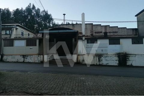 Industrial Warehouse with 600m2 of floor area. Ideal place for auto workshop, metalworking, among other industries. Capacity for entry and exit of light vehicles. It needs cleaning and some improvements. Call and get to know us without any obligation...